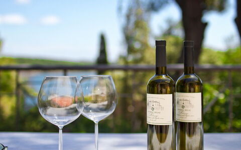 Verudela: Glass Bottle, Drink, Wine Bottle, Bottle, Wine, Alcoholic Beverage, Wine Glass, Glass, Stemware