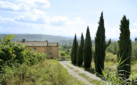 Teto: Vegetation, Tree, Grass Family, Sky, Grass, Rural Area, Land Lot, Plant, Hill, Field