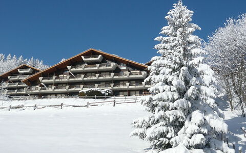 Sainte-Croix 140: Sky, Building, Plant, Snow, Window, Slope, House, Larch, Branch, Natural Landscape