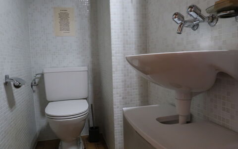 Cassiopée 26: Plumbing Fixture, Property, Tap, Toilet, Toilet Seat, Bathroom, Black, Bathroom Sink, Purple, Sink