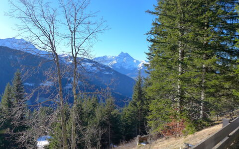 Alpe des Chaux 500: Sky, Plant, Mountain, Blue, Natural Landscape, Larch, Tree, Highland, Slope, Vegetation