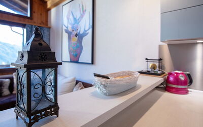 Accommodation:&nbsp;Les Arsets 308 15 500.28