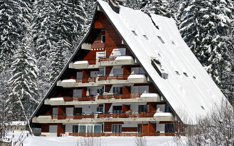 Anémone 2 16: Building, Property, Snow, Window, Leaf, Nature, Wood, Plant, House, Architecture