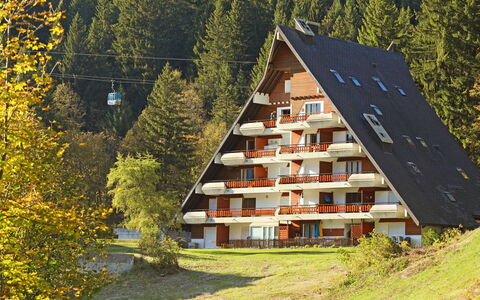 Anémone 2 16: Plant, Building, Window, Natural Landscape, Tree, Slope, House, Biome, Woody Plant, Landscape