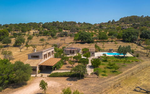 Cas Ciutada: Tree, Estate, Home, Rural Area, Farmhouse, Hacienda, Villa, Shade, Eco Hotel, Yard