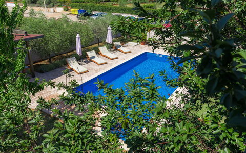 Adria: Plant, Water, Plant Community, Swimming Pool, Natural Landscape, Botany, Outdoor Furniture, Flower, Watercourse, Tree