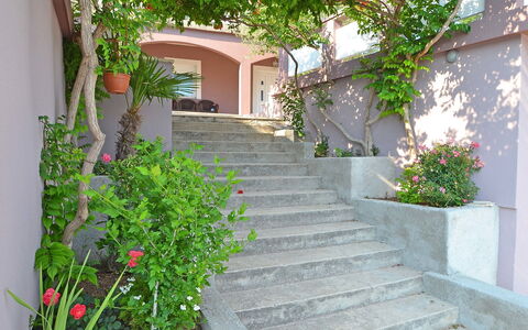 Novigrad (Zadar) 112: Plant, Building, Property, Flower, Stairs, Leaf, House, Window, Road Surface, Vegetation