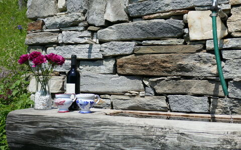 Rustico Pamela: Flower, Plant, Bottle, Wood, Road Surface, Bedrock, Brick, Landscape, Grass, Brickwork