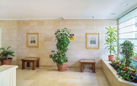 Puerto Paraíso: Property, Interior Design, Room, Building, Ceiling, Wall, Houseplant, Floor, House, Architecture