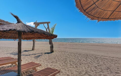 Le Lamparo: Wood, Beach, Thatching, Sea, Coastal And Oceanic Landforms, Coast, Shade, Sand, Ocean, Shore