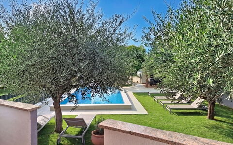 Finida: Garden, Shade, Swimming Pool, Backyard, Yard, Landscaping, Courtyard, Hacienda, Villa, Eco Hotel
