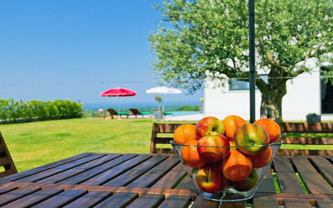 Anna: Deck, Grass, Orange, Table, Tree, Plant, Leisure, Real Estate, Landscape