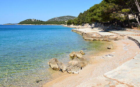 Vodice Tribunj 124: Water, Sky, Daytime, Plant, Azure, Tree, Natural Landscape, Beach, Vegetation, Body Of Water