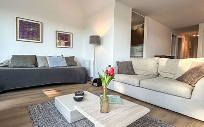Accommodation:&nbsp;Plein Sud 110.1