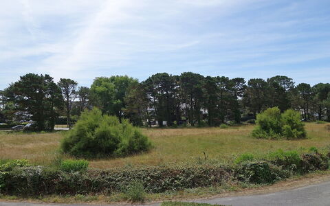 Plein Ciel: Cloud, Sky, Plant, Ecoregion, Natural Landscape, Tree, Land Lot, Vegetation, Grass