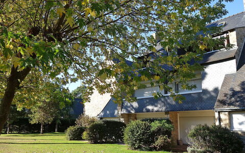 Les Pins: Plant, Building, Tree, Sky, Leaf, Nature, Shade, Window, Vegetation, Sunlight