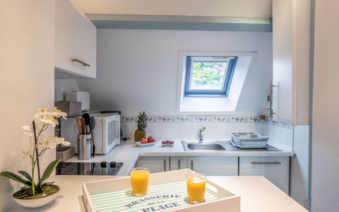Les Pins: Plant, Sink, Property, Flowerpot, Houseplant, Table, Kitchen Sink, Flower, Tap, Cabinetry