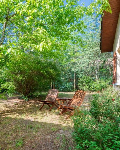 Club de la Voile: Plant, Property, Window, Natural Landscape, Tree, Building, Sunlight, Wood, Shade, Grass