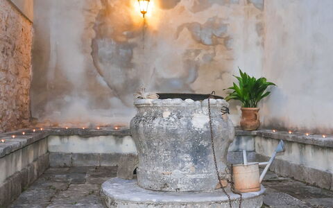 Pula Vodnjan 103: Plant, Flowerpot, Light, Lighting, Houseplant, Interior Design, Building, Morning, Wood, Heat