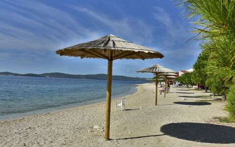Zadar Bibinje 208: Water, Cloud, Sky, Azure, Nature, Plant, Shade, Tree, Arecales, Beach