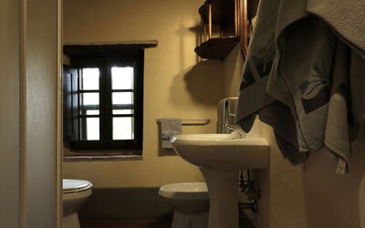 Accommodation:&nbsp;Green