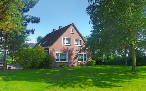 Hage 180: Plant, Sky, Building, Window, Tree, Natural Landscape, Land Lot, House, Grass, Cottage