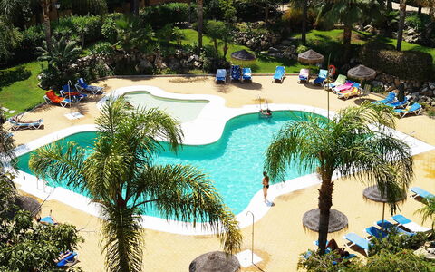 Los Almendros i: Plant, Water, Tree, Azure, Swimming Pool, Arecales, Leisure, Woody Plant, Shade, Summer