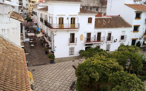 Plaza de Las Flores: Plant, Building, Window, Sky, House, Residential Area, Roof, Facade, Landmark