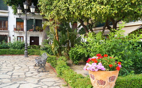 Plaza de Las Flores: Plant, Flower, Flowerpot, Botany, Building, Tree, Grass, Window, Shrub, Houseplant