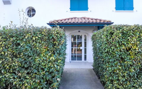 Capbreton 450: Green, Shrub, Hedge, Groundcover, Garden, Shade, Landscaping, Evergreen
