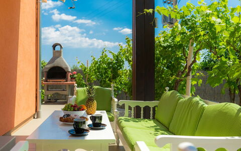 Neja: Sky, Property, Building, Green, Botany, Shade, Plant, Interior Design, Lighting, Yellow