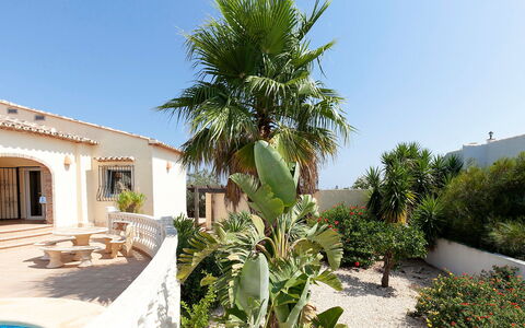 Capi: Property, Vegetation, Real Estate, Tree, House, Plant, Home, Botany, Building, Estate