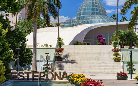 Estepona 108: Flower, Plant, Sky, Water, Daytime, Property, Building, Flowerpot, Botany, Tree