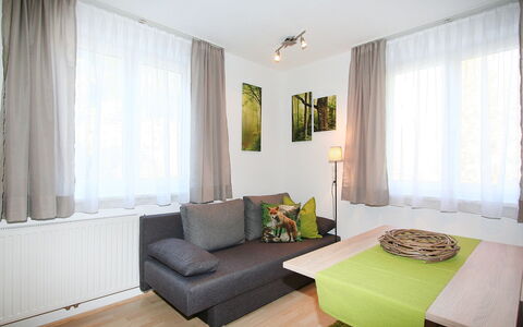 Schaller: Property, Furniture, Table, Couch, Window, Plant, Curtain, Wood, Lighting