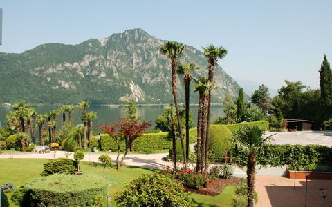 Bissone 50: Vegetation, Tree, Botanical Garden, Botany, Hill Station, Landscape, Palm Tree, Plant, Garden, Grass