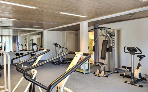 Bissone 50: Exercise Machine, Exercise Equipment, Building, Gym, Interior Design, Floor, Flooring