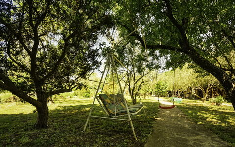 Anica: Plant, Plant Community, Tree, Natural Landscape, Shade, Land Lot, Grass, Grassland, Plain
