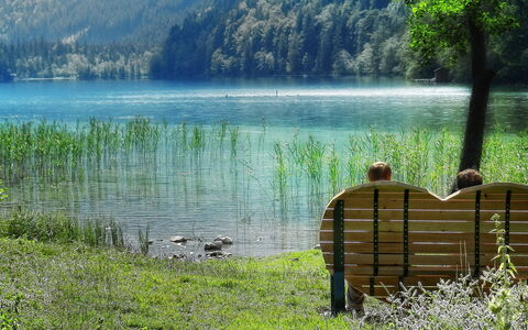 Eisenerz 100: Water, Plant, Natural Landscape, Tree, Lake, Mountain, Vegetation, Grass, Wood, Watercourse