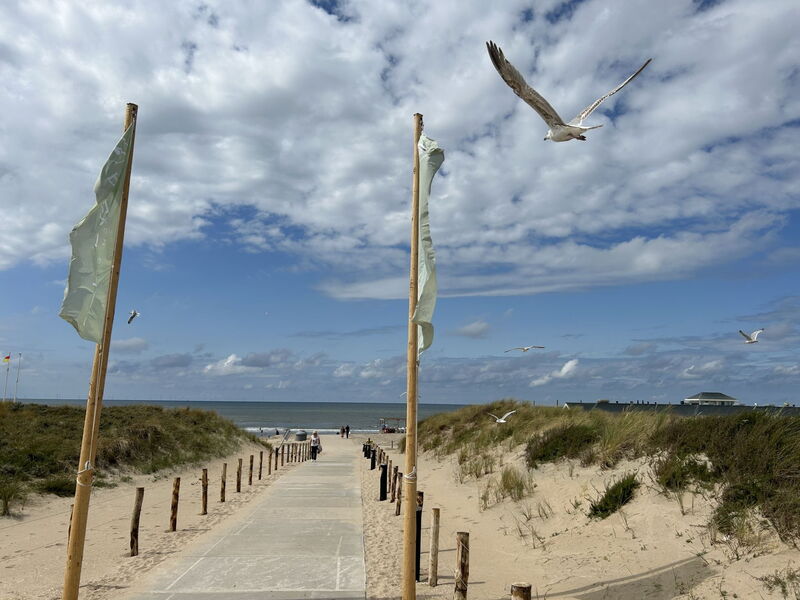 Noordwijk 350