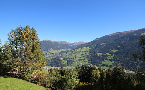 Aschau im Zillertal 330: Sky, Mountain, Plant, Plant Community, Ecoregion, Natural Landscape, Natural Environment, Tree, Highland, Slope
