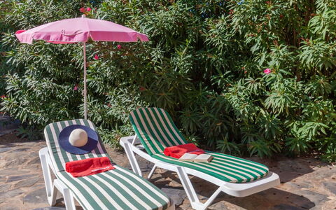 L'Escala 170: Plant, Furniture, Umbrella, Botany, Nature, Leaf, Outdoor Furniture, Shade, Outdoor Bench, Tree