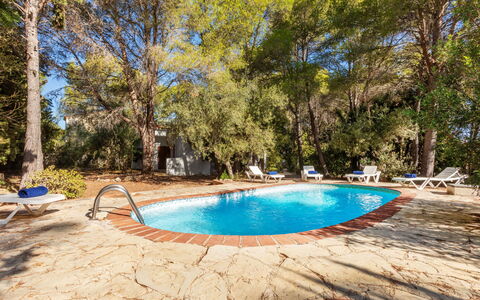 Villa Pinos: Blue, Tree, Wood, Swimming Pool, Shade, Outdoor Furniture, Resort, Landscaping, Eco Hotel, Backyard