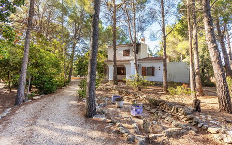 Villa Pinos: Tree, Branch, Trunk, Cottage, Woodland, Shade, Soil, Trail, Grove