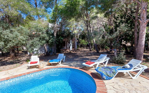 Villa Pinos: Water, Plant, Property, Furniture, Swimming Pool, Azure, Blue, Tree, Shade, Chair