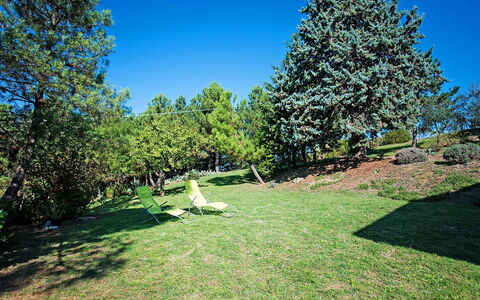 Tribolina: Tree, Property, Sky, Daytime, Natural Landscape, Grass, Land Lot, Lawn, Garden, Real Estate