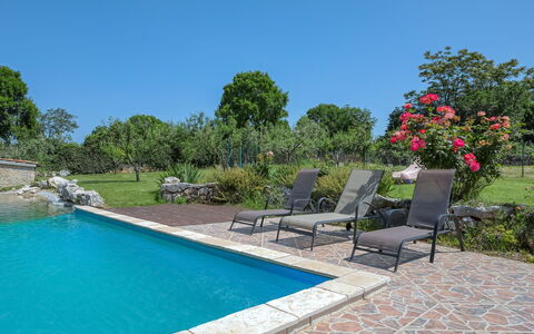 Mario 1: Water, Plant, Sky, Property, Flower, Swimming Pool, Tree, Outdoor Furniture, Chair, Natural Landscape