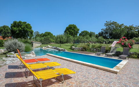 Mario 1: Plant, Sky, Water, Tree, Swimming Pool, Rectangle, Outdoor Furniture, Shade, Leisure, Grass