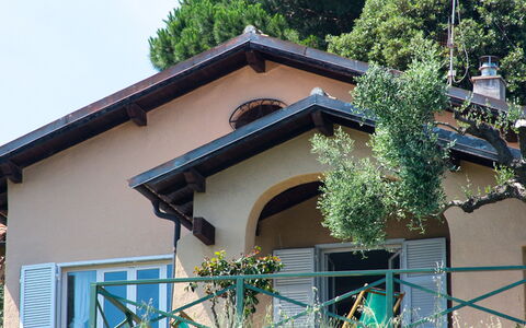 Villa Sara: Plant, Building, Property, Sky, Tree, Window, Architecture, House, Wood