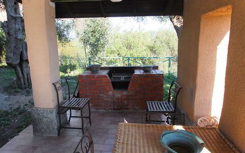 Villa Sara: Property, Furniture, Plant, Chair, Wood, Shade, Tree, Interior Design, Flooring, Floor