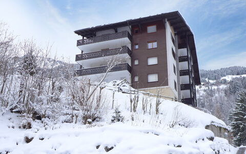 Champbois: Sky, Building, Cloud, Snow, Plant, Tree, Window, House, Residential Area, Urban Design